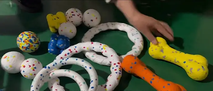 pet chew product factory china